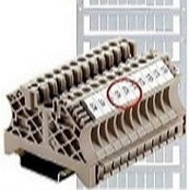 WS