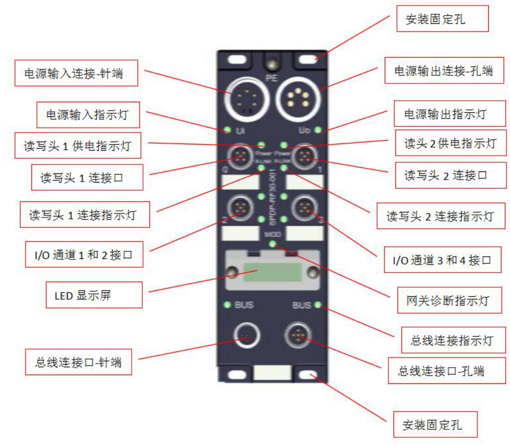 SG-CG-P2-PN